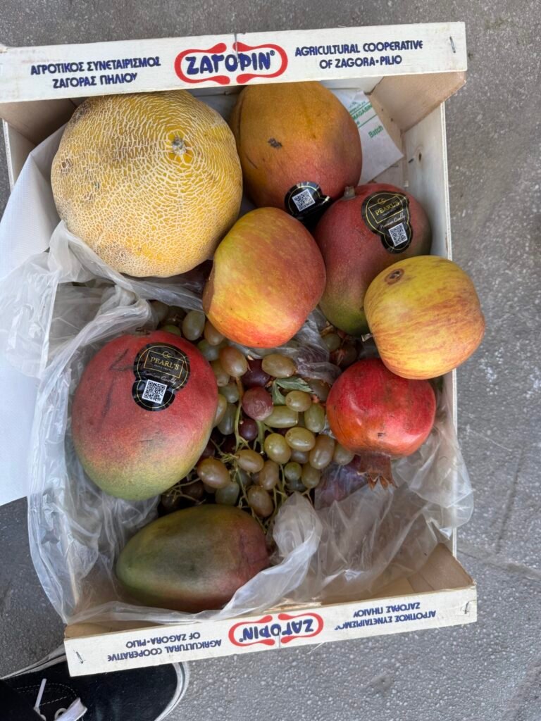 image00006 scaled (1)