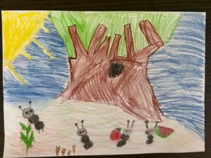 518793874 758309756849542 3098635402450777781 n