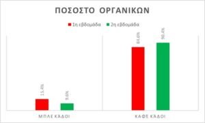 518942572 758298366850681 7429293870103333257 n