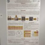 img 7706
